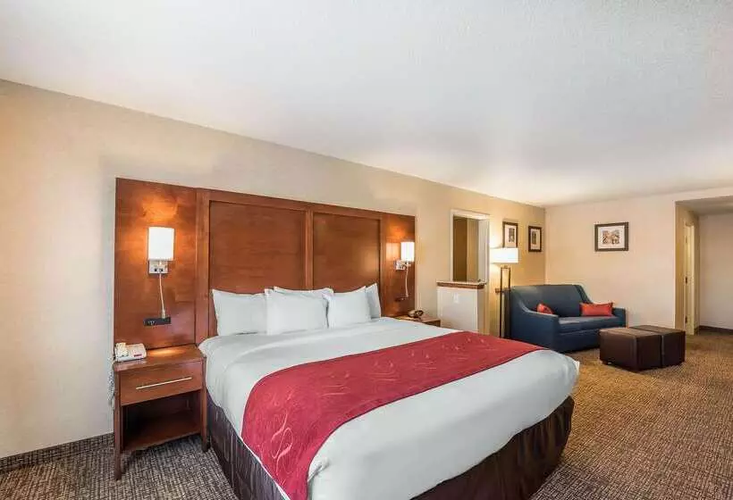 Отель Comfort Suites Longmont