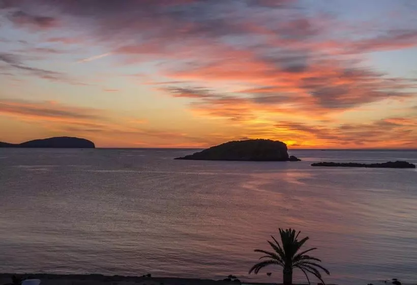 酒店 Outsite Ibiza