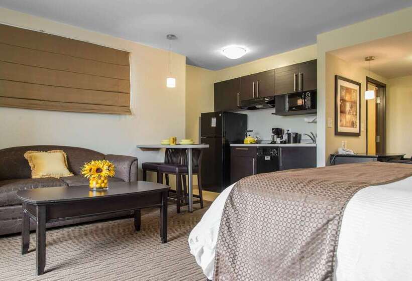 酒店 Mainstay Suites Winnipeg