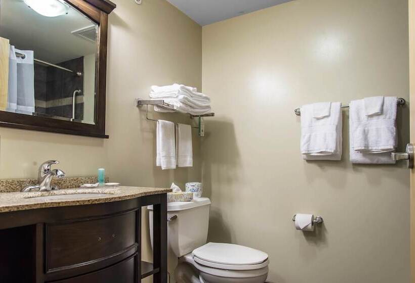 酒店 Mainstay Suites Winnipeg