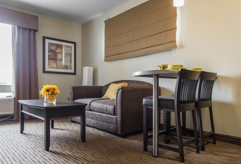 酒店 Mainstay Suites Winnipeg