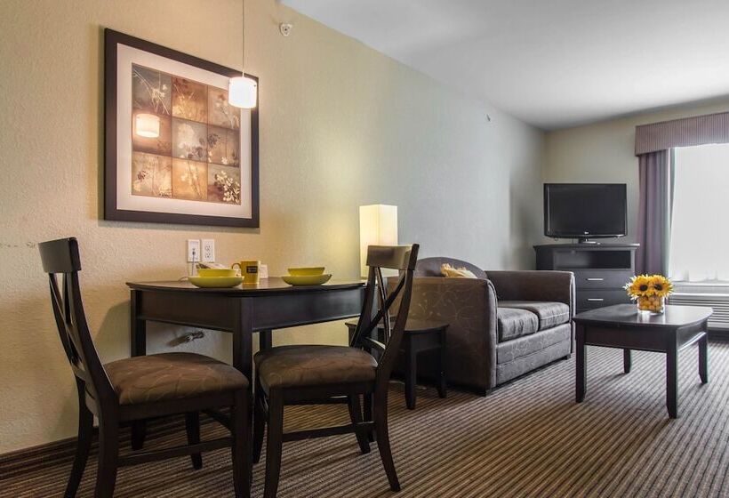 酒店 Mainstay Suites Winnipeg