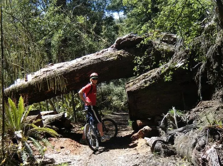 Отель Parklands Motorlodge & Holiday Park