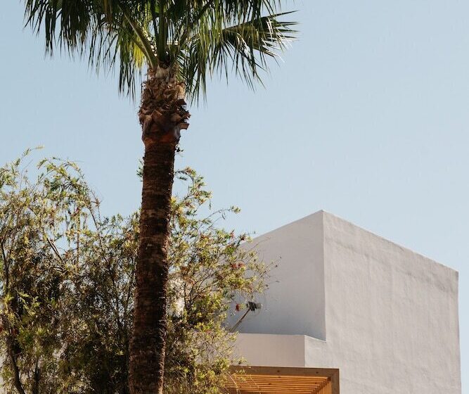 בית מלון כפרי Petradi Beach Lounge