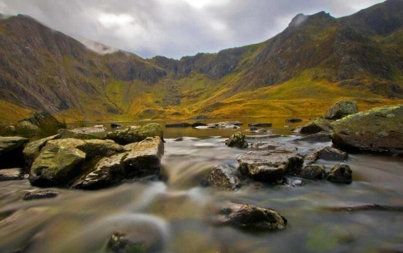 בית מלון כפרי Royal Oak