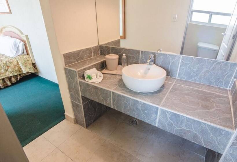 هتل San Francisco Irapuato Business Class