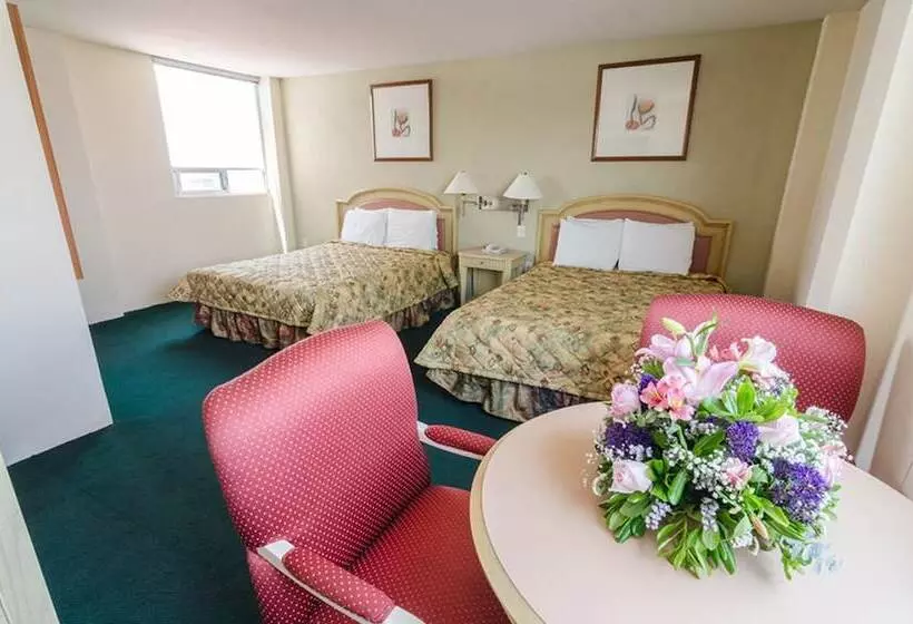 Hotel San Francisco Irapuato Business Class