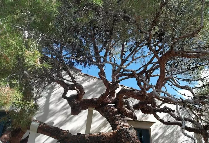 Hotelli Villa Kynthia