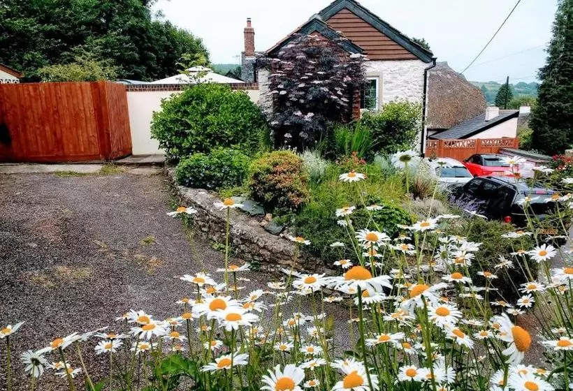 Отель Rose Farm