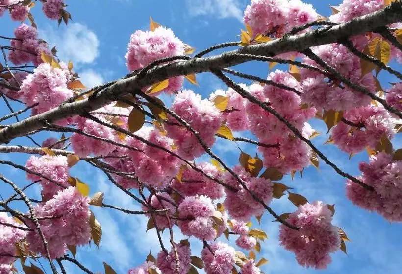 Отель Rose Farm