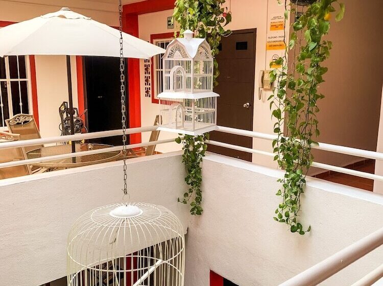 La Iguana Vallarta Lgbt Adults Only   Romantic Zone   Party Clubbing Street