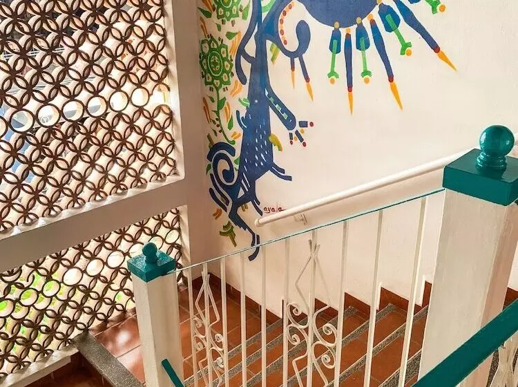 La Iguana Vallarta Lgbt Adults Only Romantic Zone Party Clubbing Street