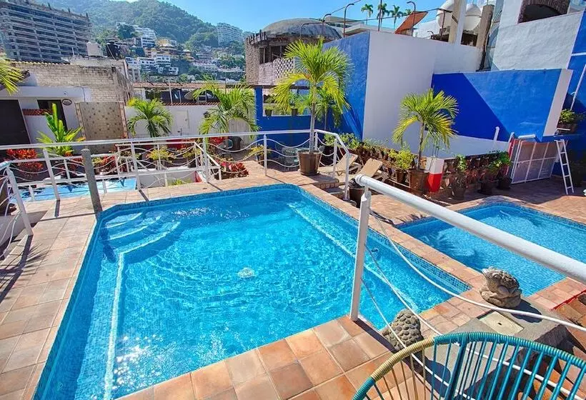 La Iguana Vallarta Lgbt Adults Only Romantic Zone Party Clubbing Street