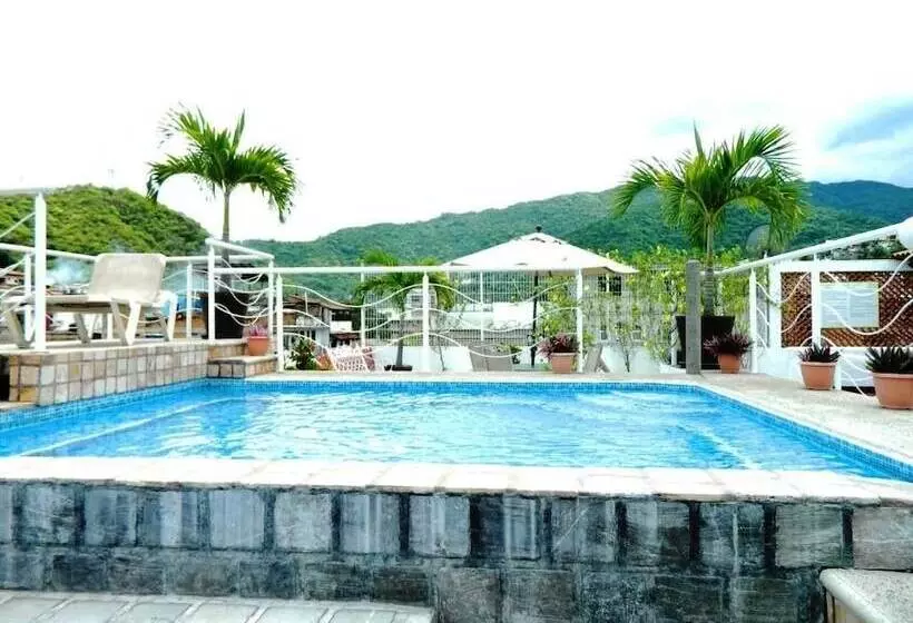 La Iguana Vallarta Lgbt Adults Only Romantic Zone Party Clubbing Street