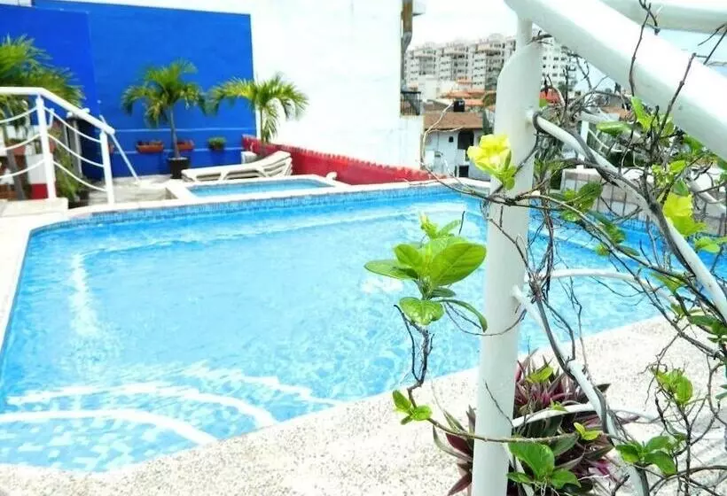 La Iguana Vallarta Lgbt Adults Only Romantic Zone Party Clubbing Street