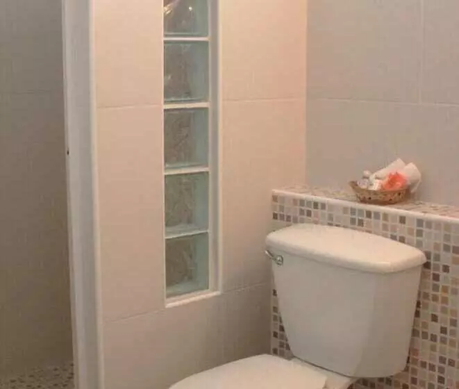 La Iguana Vallarta Lgbt Adults Only Romantic Zone Party Clubbing Street