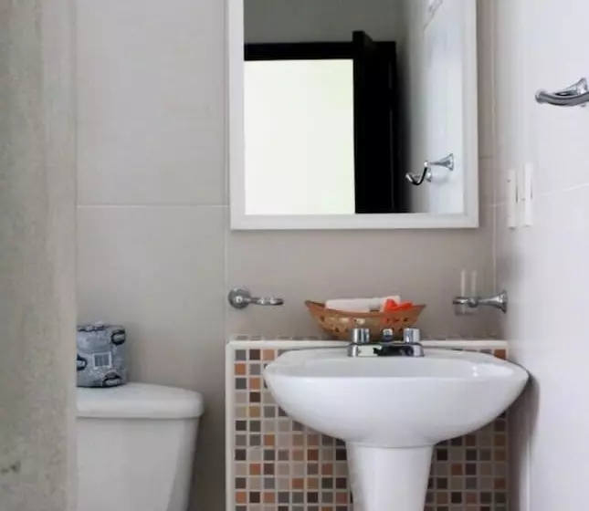 La Iguana Vallarta Lgbt Adults Only Romantic Zone Party Clubbing Street