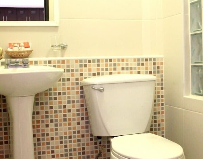 La Iguana Vallarta Lgbt Adults Only   Romantic Zone   Party Clubbing Street