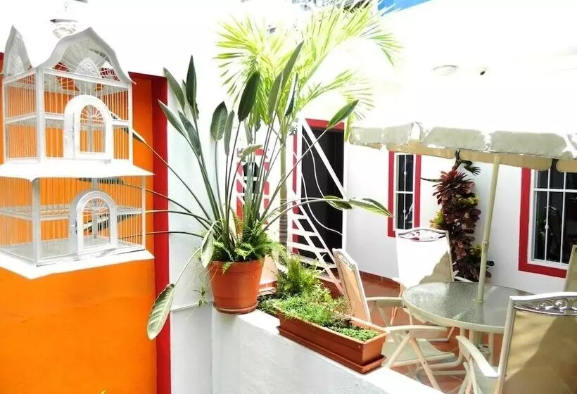 La Iguana Vallarta Lgbt Adults Only Romantic Zone Party Clubbing Street