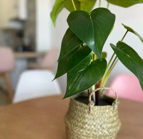 Apartamentos Vela Blanca