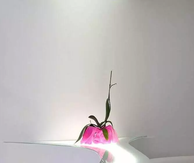 Отель Absoluto Design