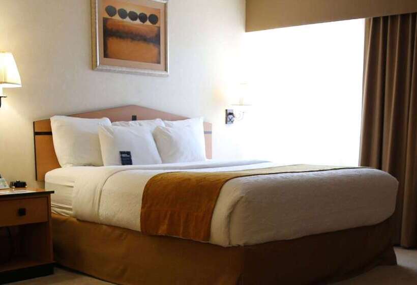 ホテル Americinn By Wyndham Denver Airport