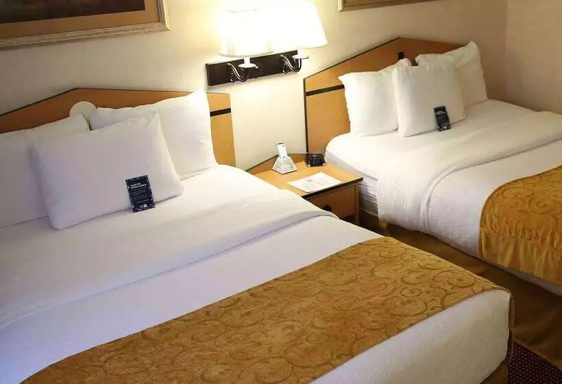 호텔 Americinn By Wyndham Denver Airport