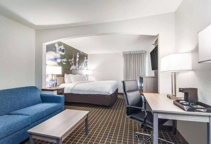 ホテル Clarion Pointe South Boston Danville East