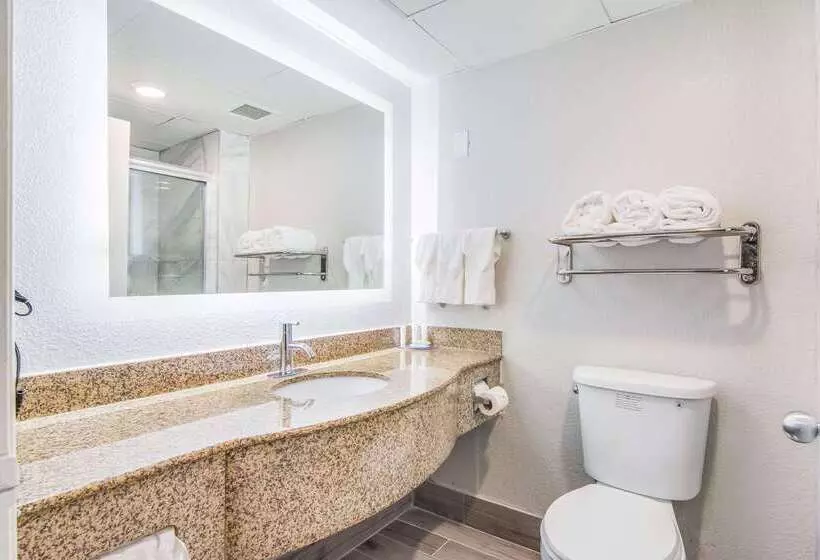 ホテル Clarion Pointe South Boston Danville East