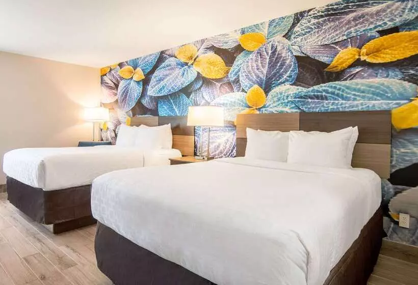 ホテル Clarion Pointe South Boston Danville East