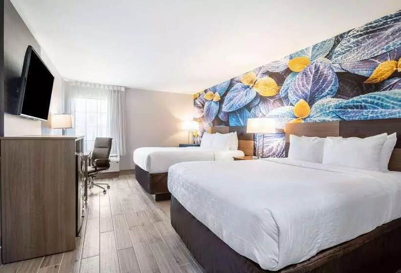 ホテル Clarion Pointe South Boston Danville East