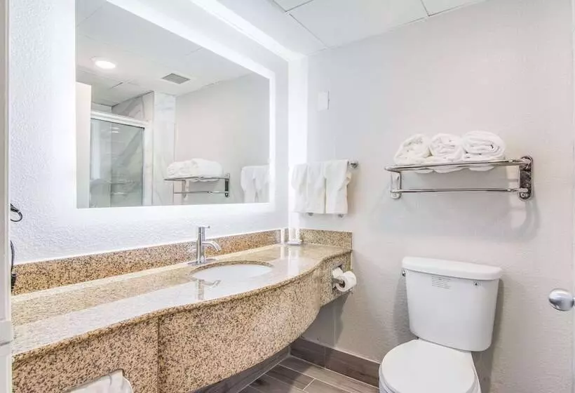 ホテル Clarion Pointe South Boston Danville East