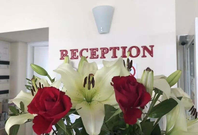 فندق Eastbourne Riviera