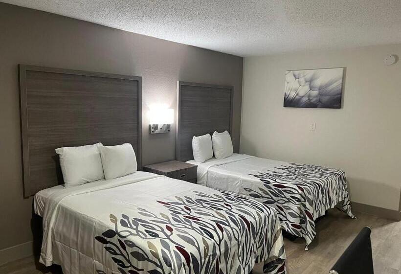 酒店 Red Roof Inn & Suites Newport News