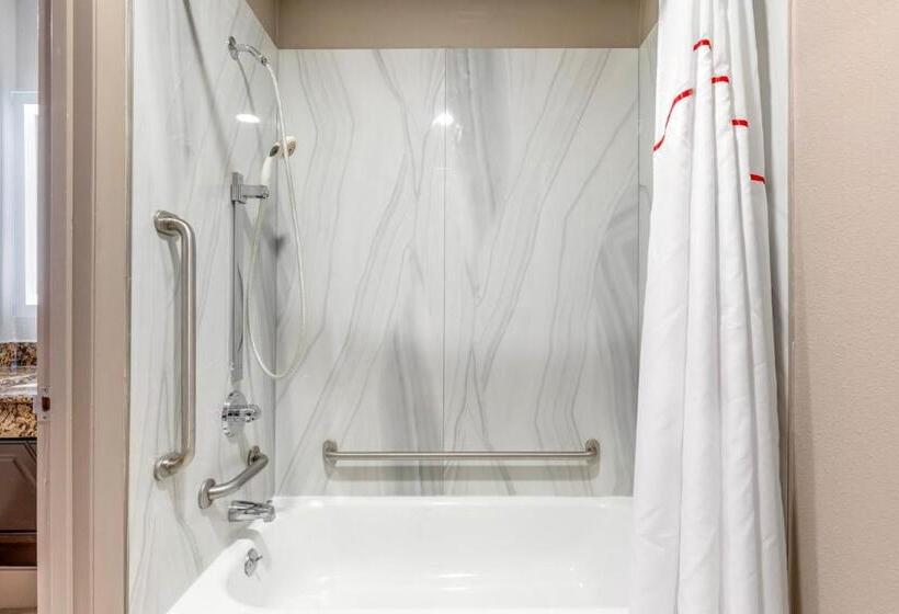 酒店 Red Roof Inn & Suites Newport News