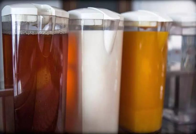 בית מלון כפרי The W14 Kensington