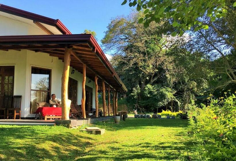 ペンション Blue Lake Ridge