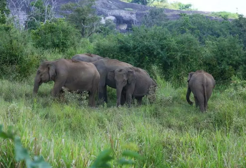 Majatalo Blue Lake Ridge