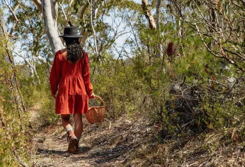 リゾートホテル Maya Sanctuary