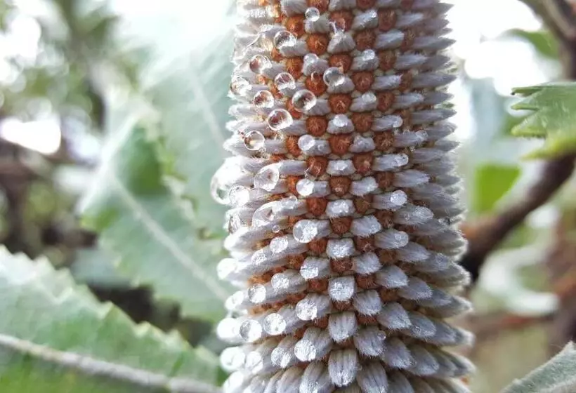 リゾートホテル Maya Sanctuary