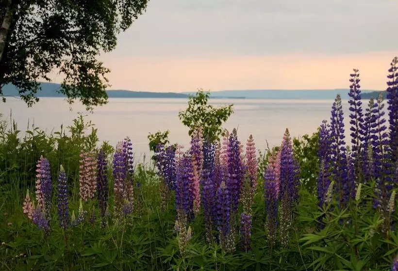 Seaweed And Sod Farm Bed & Breakfast