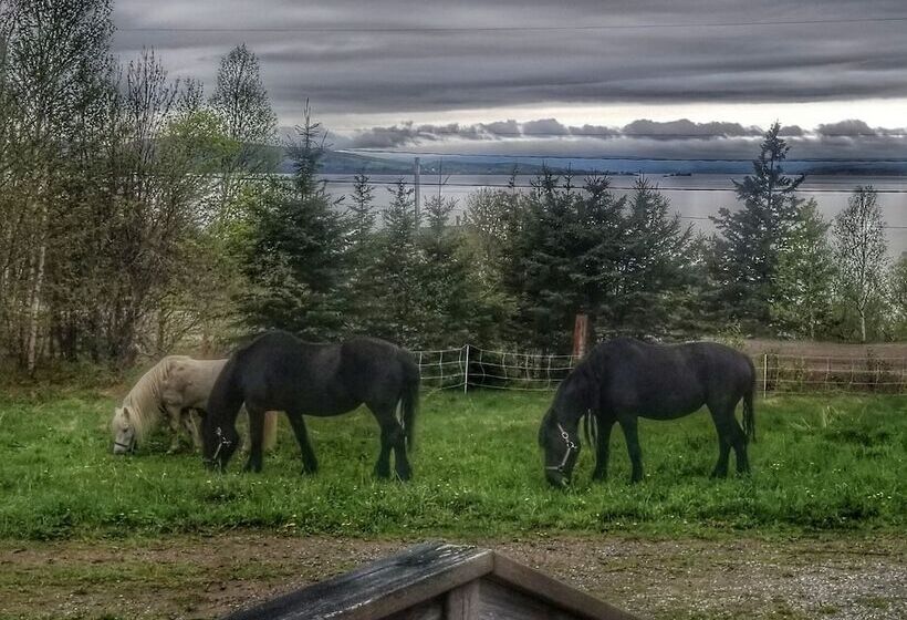 Seaweed And Sod Farm Bed & Breakfast