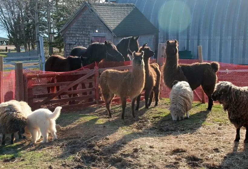 Seaweed And Sod Farm Bed & Breakfast
