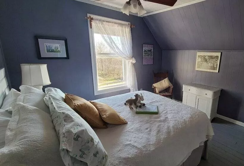 Seaweed And Sod Farm Bed & Breakfast