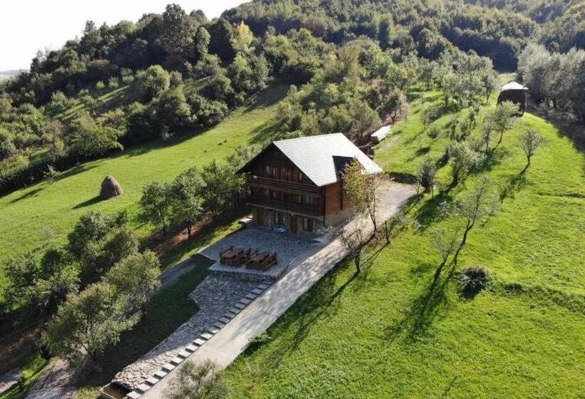 Pensiunea Ileana Teleptean