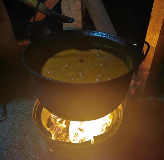 Pensiunea Ileana Teleptean