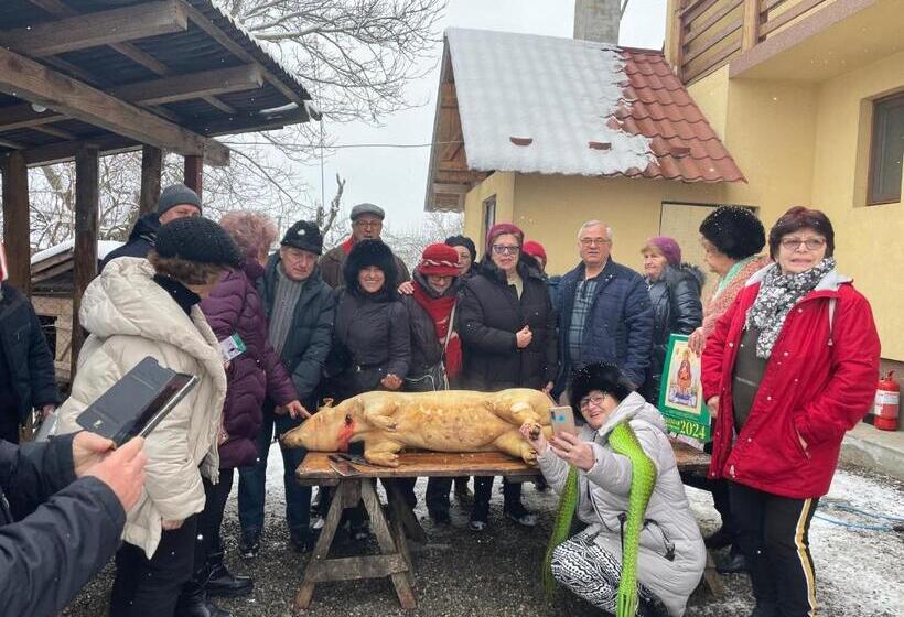 Pensiunea Ileana Teleptean