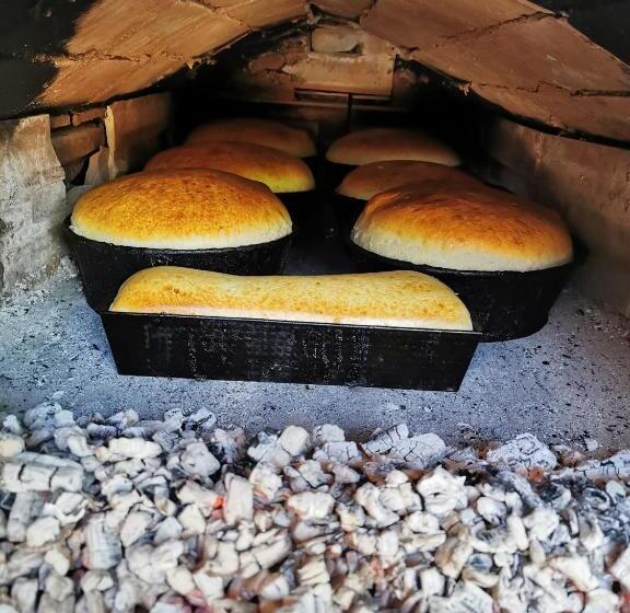 Pensiunea Ileana Teleptean