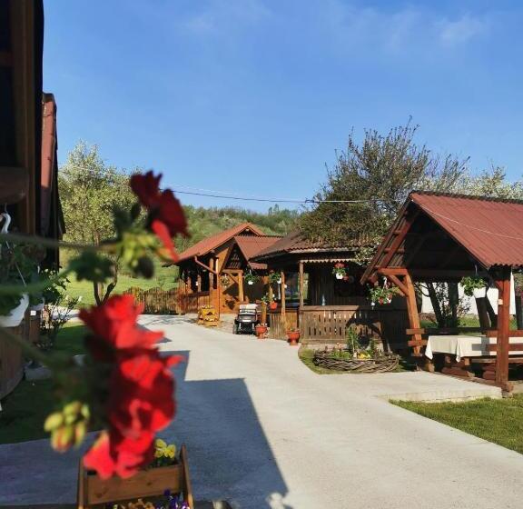 Pensiunea Ileana Teleptean