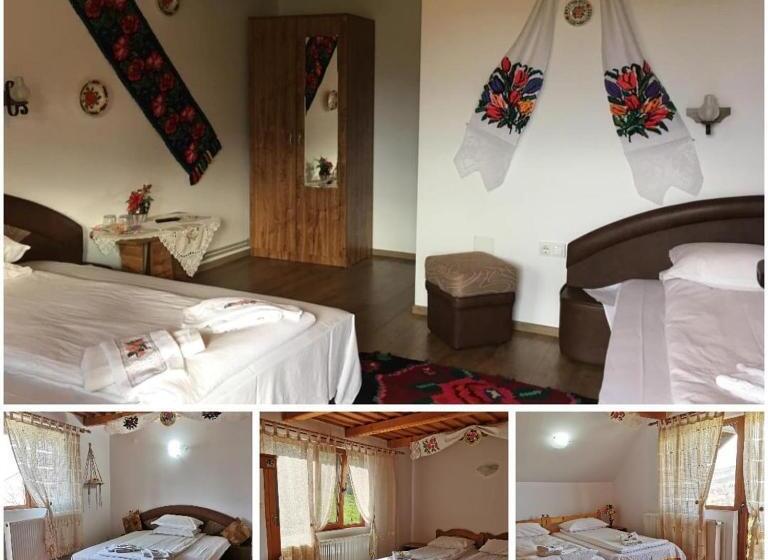 Pensiunea Ileana Teleptean